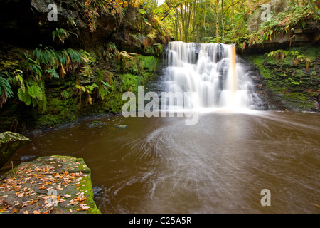 Goit Stock Falls in heart of Goit Stock Wood Stock Photo