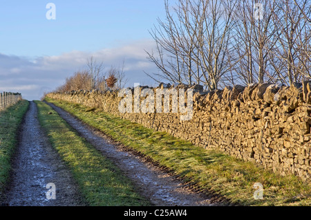 footpath and farm road going uphill Stock Photo