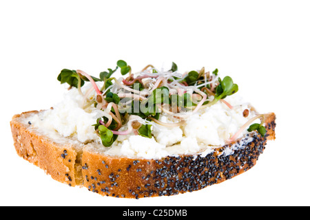 A slice of bread with poppy seeds, with cottage cheese and radish sprouts Stock Photo