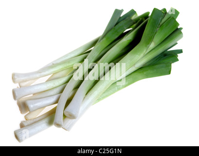 A bunch of fresh young leeks isolated on a white background. Stock Photo