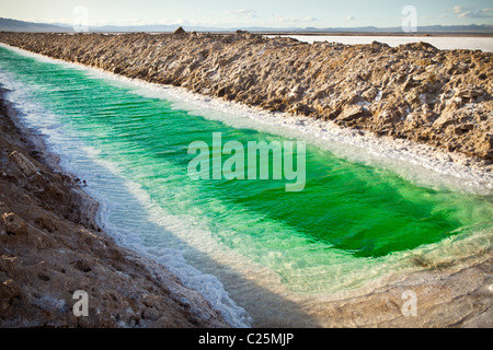 Green canals of liquid Calcium Chloride drying in the desert outside Amboy, CA Stock Photo