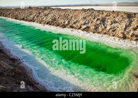 Green canals of liquid Calcium Chloride drying in the desert outside Amboy, CA Stock Photo