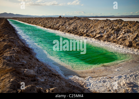 Green canals of liquid Calcium Chloride drying in the desert outside Amboy, CA Stock Photo