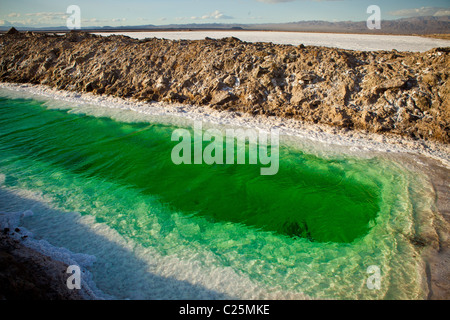 Green canals of liquid Calcium Chloride drying in the desert outside Amboy, CA Stock Photo