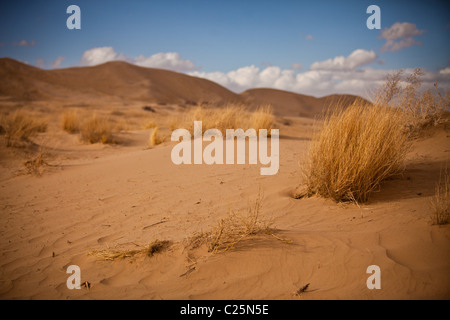 Kelso Dunes in the Mojave Desert in the Mojave National Preserve, Kelso, CA Stock Photo