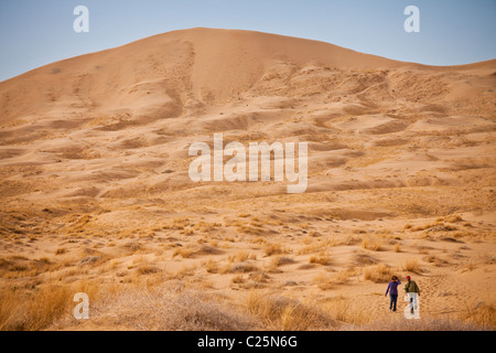 Kelso Dunes in the Mojave Desert in the Mojave National Preserve, Kelso, CA Stock Photo