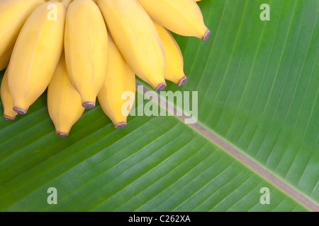Bunch of bananas on banana leaf background Stock Photo