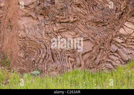Exposed layers of folded, iron rich chert rock in Northern California coast Stock Photo