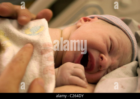 A new born baby boy in his first hour of life. Stock Photo