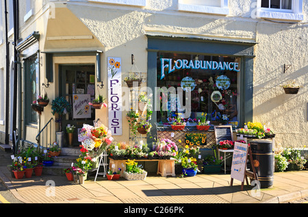 Flower Shop Beaumaris Anglesey North Wales Gwynedd UK United Kingdom EU Europe Stock Photo