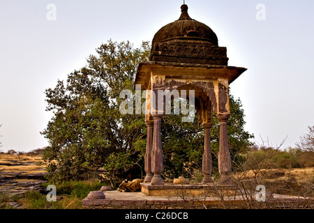 Tiger sitting in a chattri or palace in Ranthambore tiger reserve Stock Photo