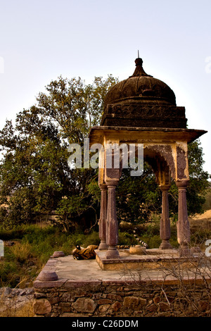 Tiger sleeping in a chattri or palace in Ranthambore tiger reserve Stock Photo