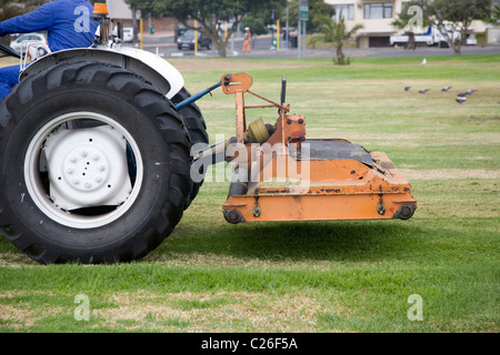 Man cutting grass on sea Point promenade in Cape Town Stock Photo