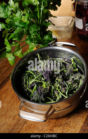 Stock photo of purple sprouting broccoli in a steaming pot. Stock Photo