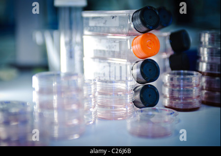 cell culture flasks and petri dishes in science lab laboratory microbiology Stock Photo