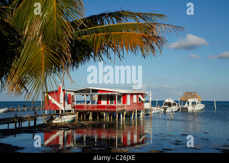 Restaurant and diving centre on Caye Caulker beach on the  island off Belize Stock Photo