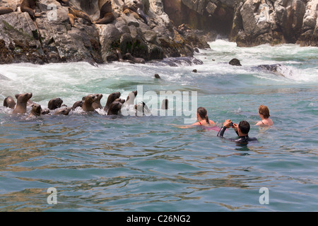 Tourists swimming with Sea Lions, Palomino Islands, Callao, Lima, Peru Stock Photo