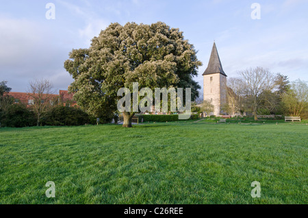 Holy Trinity Church Bosham,  West Sussex, Uk. Stock Photo