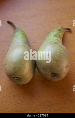 Two conference pears Stock Photo