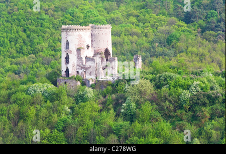 Spring view of Chervonohorod Castle ruins ( Nyrkiv village , Zalischyky region, Ternopil Oblast, Ukraine). Stock Photo