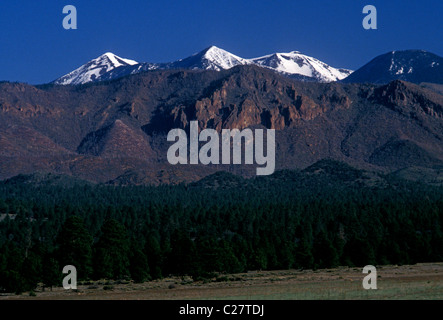San Francisco Peaks, north of Flagstaff, Arizona, United States, North America Stock Photo