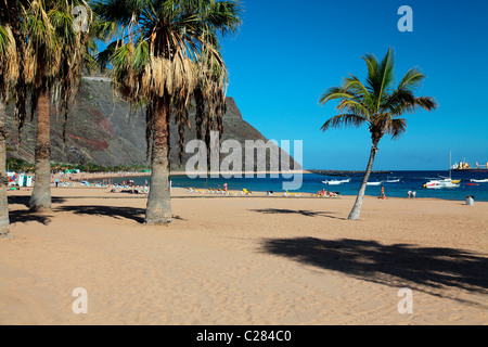 one of the best bigger Tenerife beaches Playa de las  Teresitas Stock Photo