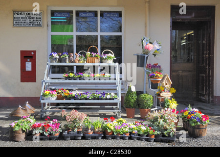 Floral Display at Village Post Office Stock Photo