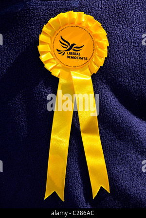 Liberal Democrats political party rosette, Britain, UK Stock Photo