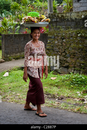 A beautiful smiling Balinese woman in traditional dress balances a Hindu offering on her head returning from a temple ceremony. Stock Photo