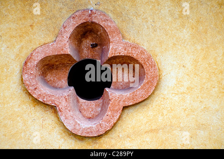 Stucco wall flower decoration on a building in Isla Mujeres (Spanish for Women Island) Mexico Stock Photo