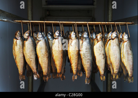 smoked fish hanging in a smokehouse in Suffolk Stock Photo