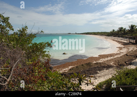 Views of Cayo Las Brujas Cuba Stock Photo