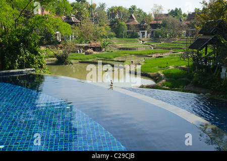 swimming pool at the luxurious Dhara Dhevi Resort in Chiang Mai, Thailand Stock Photo