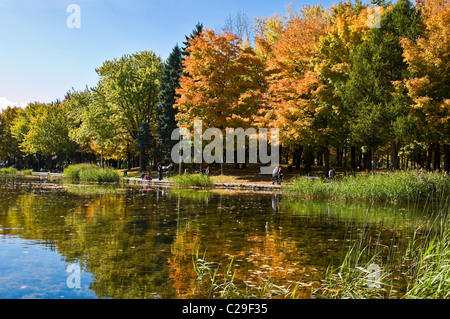 Autumn Mount Royal Park Montreal Canada Beaver lake Stock Photo