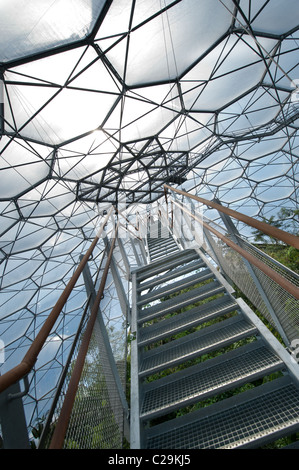 A view of the steps up to the observation platform in the Rainforest Biome at the Eden Project, Cornwall, UK Stock Photo