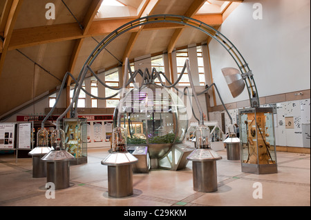 Exhibition in the Core at the Eden Project tourist attraction and ecology centre, Bodelva, St Austell, Cornwall, England, UK Stock Photo