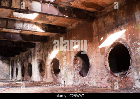 Ruins of a very heavily polluted industrial factory, the place was known as one of the most polluted towns in Europe. Stock Photo