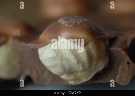 Chocolate covered hazelnuts. Close-up of chocolate bar. Stock Photo