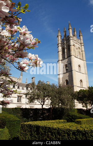 Magdalen College from University of Oxford Botanic Garden, England, UK Stock Photo