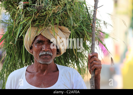 Indian man with grass on the head and stick in hand Andhra Pradesh South India Stock Photo