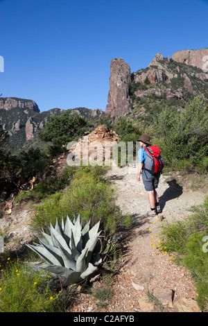 Woman hiking in desert mountain terrain The Lost Mine Trail Big Bend National Park Texas USA Stock Photo
