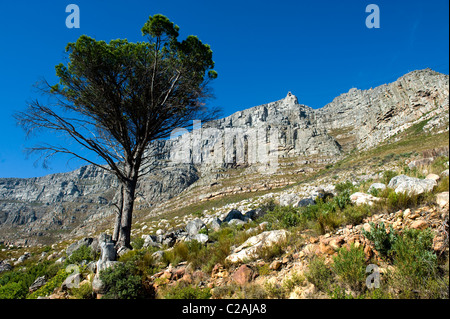 Table Mountain Upper Cable Station view from Tafelberg, Cape Town, South Africa Stock Photo
