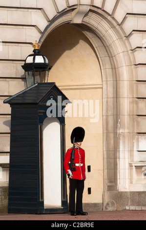 A Grenadier guard at Buckingham palace, London. Stock Photo