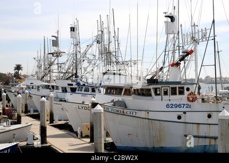 Tuna boats mored near Seaport Village in San Diego. Stock Photo