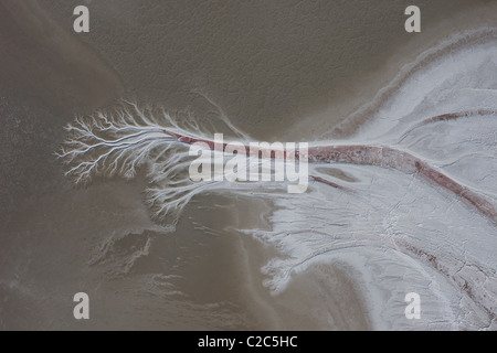 VERTICAL AERIAL VIEW. Dendritic pattern due to water erosion on the surface of Searles Dry Lake. Trona, San Bernardino County, California, USA. Stock Photo