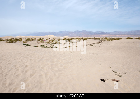 California. Sand dunes near Stovepipe Wells Village, Death Valley National Park. Stock Photo