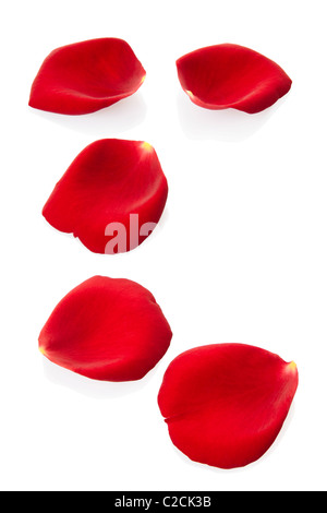 Red rose petals Stock Photo