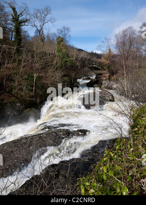 The Afon Llugwy in spate at Pont Cyfyng, Capel Curig, Snowdonia Stock Photo