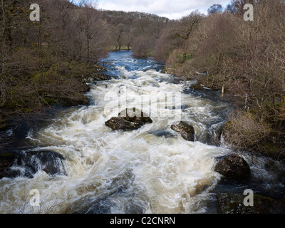 The Afon Llugwy in spate at Pont Cyfyng, Capel Curig, Snowdonia Stock Photo