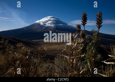 View of the Popocatepetl volcano covered by clouds in a picture taken in the Iztaccihuatl-Popocatepetl National Park, Mexico. Stock Photo